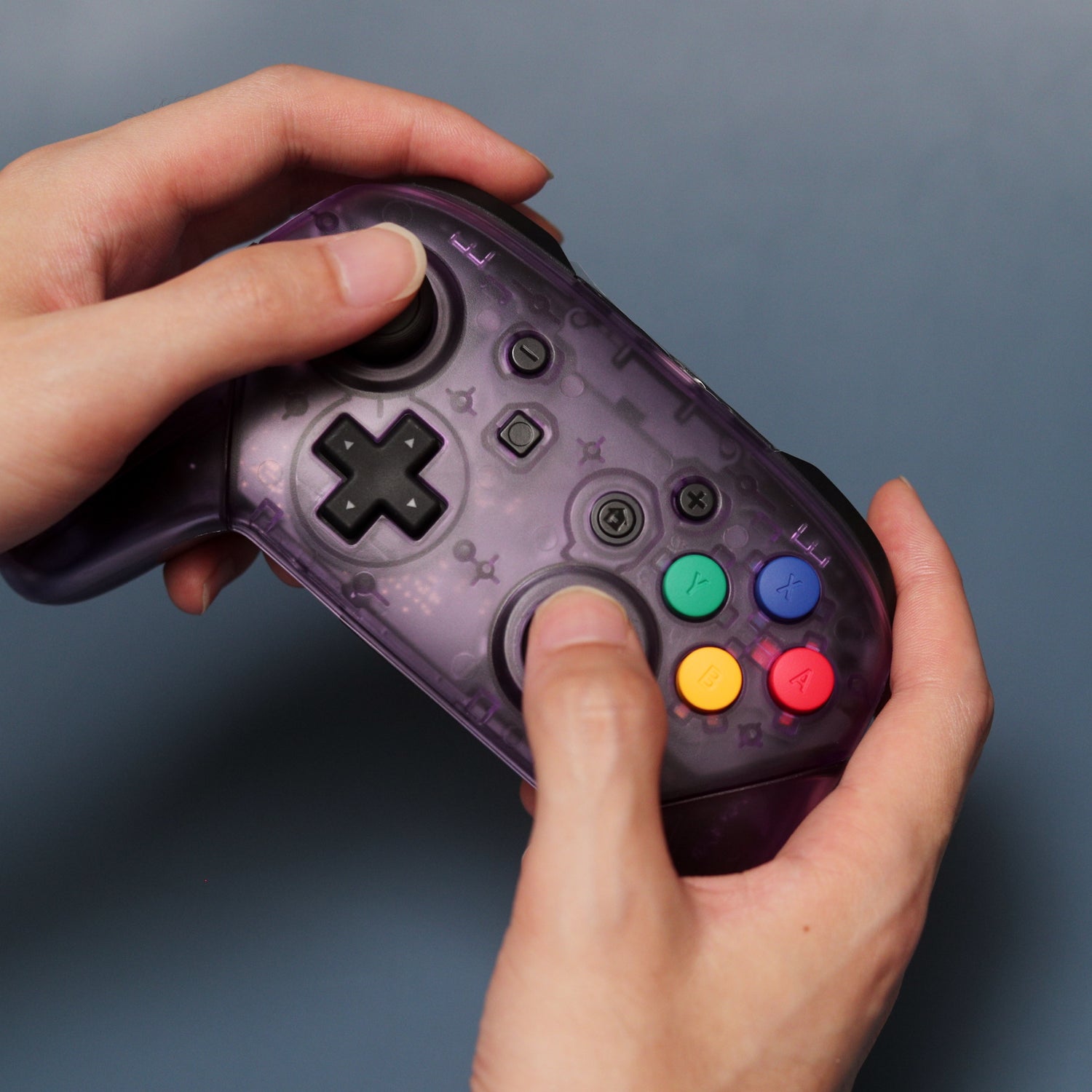 Custom Nintendo Switch Pro Controllers