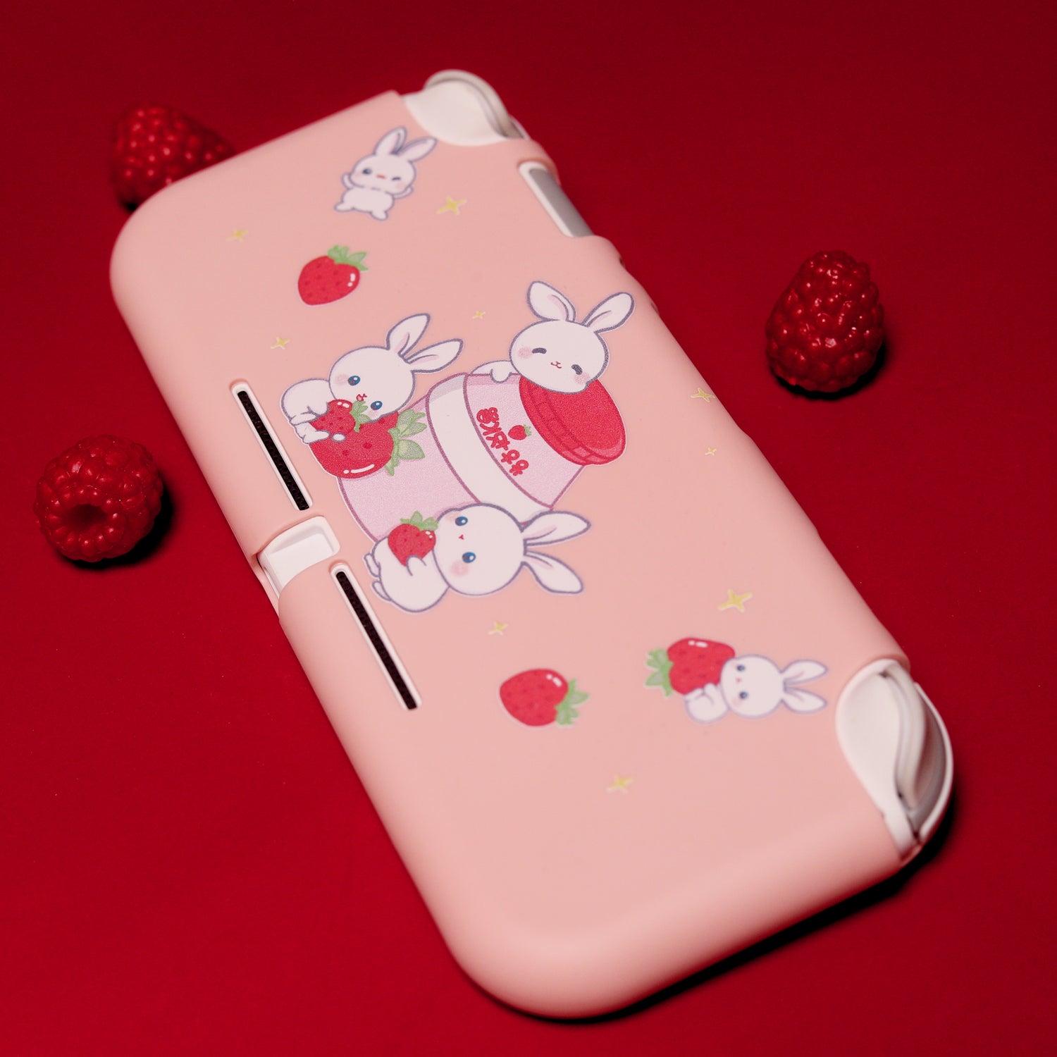 Nintendo Switch Lite Cases