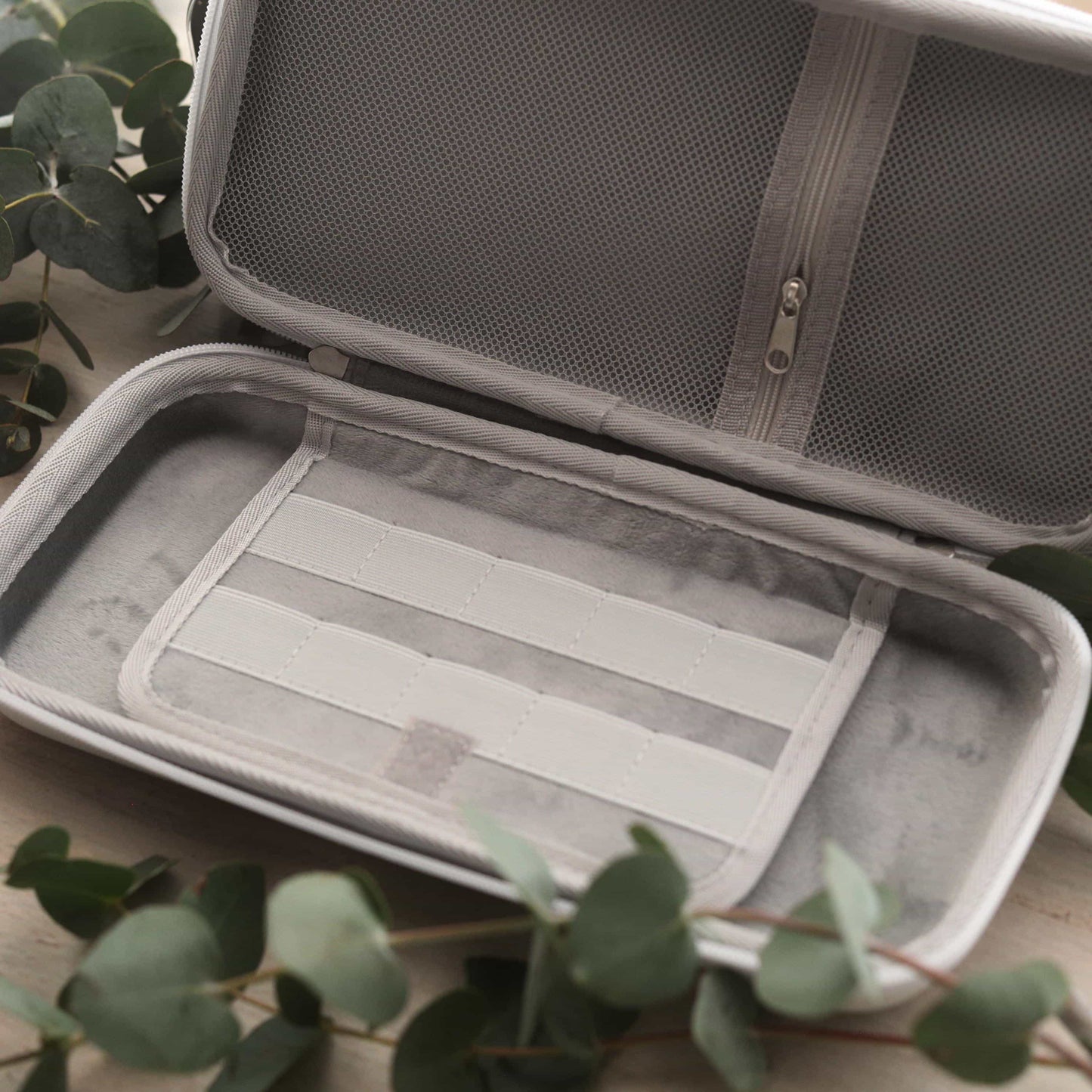 Emberwing - Nintendo Switch 2 Carry Case