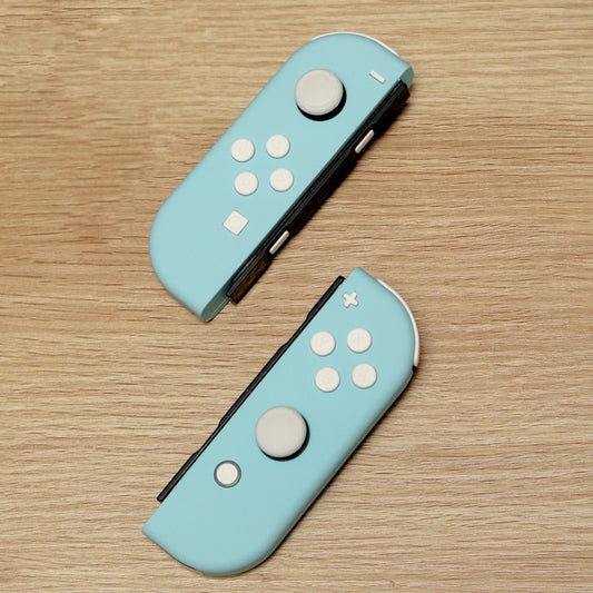 Custom SEA SALT Pastel Blue and White Nintendo Switch Joy-Con Controllers