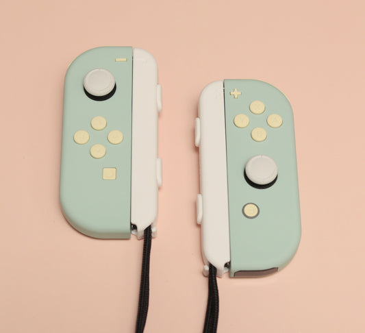 Custom Berries and Cream Baby Teal Nintendo Switch Joy-Con Controllers