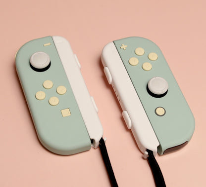 Custom Berries and Cream Baby Teal Nintendo Switch Joy-Con Controllers