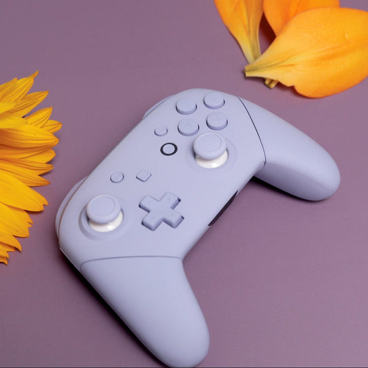 Custom Lavender Dream Nintendo Switch Pro Controller