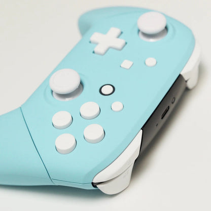 Custom Sea Salt Pastel Blue and White Nintendo Switch Pro Controller